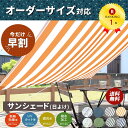 最大6%OFFクーポン発行中★【早割500円OFFは5月末ま...
