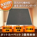 折り畳み収納可能 TEKNOS(テクノス) 電気カーペット ホットマット 電気暖房 暖房面積切換 ダニ退治機能 ホットカーペット 3畳用 温度調節 195×235cm TWA-3000B