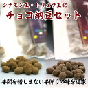 チョコ納豆セット グリーンパール納豆本舗 国産 宮城県産 おやつ おつまみ 【代引不可】