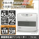 石油ファンヒーター DAINICHI ダイニチ FW-66L-S ライトシルバー 木造~17畳 コンクリート~23畳