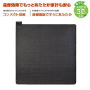 ホットカーペット 2畳相当 本体176cm正方形 電気カーペット KODEN(広電) CWU2025