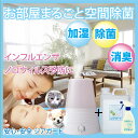 【取り寄せ商品】病院でも使用 次亜塩素酸水 ジアガード 加湿器セット 噴射器 加湿器 除菌スプレー アルコール 消臭 インフルエンザ ノロウィルス ロタウイルス 急性胃腸炎 RSウイルス 溶連菌感染症 ヘルパンギーナ 大腸菌 除菌 消臭 大腸菌 水虫 食中毒