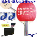 【8月度 月間優良ショップ受賞】【あす楽】ミズノ mizun...