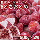 訳あり 冷凍いちご とちおとめ 栃木県産 1kg(500g×2袋) 送料無料 国産 フルーツ 果物 和楽
