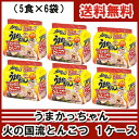 【6213】☆【送料無料】ハウス食品 うまかっちゃん熊本火の国流とんこつ香ばしにんにく風味5食入り×6個パック(1ケース)※北海道は送料無料対象外※