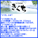 阿蘇外輪山天然水　シリカ水きくち　2L くまモンラベル 画像3