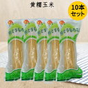 黄糯玉米(1本入) 【10本セット】備蓄食 黄もちとうもろこ...