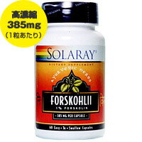 フォルスコリエキス　385mg（フォースリーンのキー成分をギュッと濃縮！）