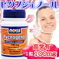 ピクノジェノール 100mg （フランス海岸松樹皮エキス） 60粒【SBZcou1208】【NEW!】天然ポリフェノールで美容と健康に♪1粒100mgの高含有タイプ！