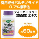 フィーバーフュー/ナツシロギク(夏白菊)...