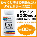 【円高還元SALE中】ビオチン(ビタミンH)5000mcg(約60日分でお得!2段階タイムリリース型) 【円高還元SALE中】ビオチン(ビタミンH)5000mcg(約60日分でお得!2段階タイムリリース型)