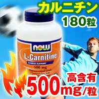 ≪期間限定52％OFF≫ [ お得サイズ ] Lカルニチン 500mg 180粒入り お手ごろ価格でダイエットを応援するサプリ♪【SBZcou1208】1粒に500mgのLカルニチンが180粒★このお手ごろ価格でダイエットを応援するサプリメントです♪