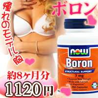 ≪期間限定24％OFF≫ ［ お得サイズ ］ ボロン（ホウ素） 3mg 250粒【SBZcou1208】