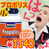 プロポリス 500mg 100粒（ハイクラスの品質）【SBZcou1208】