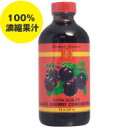 ブラックチェリー コンセントレート（濃縮果汁） 237ml【SBZcou1208】