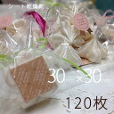 【送料無料】シート乾燥剤×120枚30×30/業務用乾燥剤(薄型)