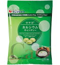 株式会社サンプラネット(エーザイグループ) カルシウムキャンディー 60g入×10袋セット【栄養機能食品:カルシウム・マグネシウム】<コンドロイチン、N-アセチルグルコサミンも配合>