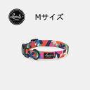 犬用首輪 Mサイズ ジェーン リーズドッグサプライ/Leeds Dog Supply Collar Medium JANE 即納 送料無料