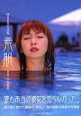 　【中古】女性アイドル写真集 酒井若菜写真集 素肌【05P26Oct09】