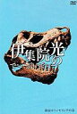 【中古】その他DVD 伊集院光/伊集院光のでぃーぶいでぃー ...