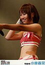 【中古】生写真(AKB48・SKE48)/アイドル/AKB48 小林香菜/上半身/AKBがやってきたDVD特典