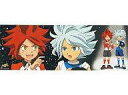 【中古】ポスター(アニメ) 南雲晴矢+涼野風介 イナズマイレブン キャラポスコレクション5