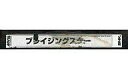 【中古】ネオジオソフト ブレイジングスター [MVS版]【画】