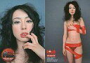 【中古】コレクションカード(女性)/秋山莉奈トレーディングカード BOMB CARD LIMITED 2007 039 : 秋山莉奈/レギュラーカード/秋山莉奈トレーディングカード BOMB CARD LIMITED 2007
