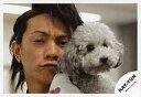 【中古】生写真(男性)/アイドル/KAT-TUN KAT-TUN/田中聖/横型・顔アップ・犬・背景白/公式生写真【10P24Jun13】【画】