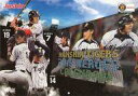 【中古】カレンダー 阪神タイガース 2015年度カレンダー Joshinキャンペーン特典 【タイムセール】