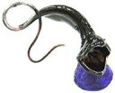 【中古】トレーディングフィギュア 3.フウセンウナギ 「カプセルアクアリウム 日本水族館立体生物図録 深海生物」 水族館限定