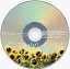 【中古】WinXP/Vista/7 DVDソフト 夏空のペルセウス インストゥルメンタル トラック集