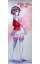 【中古】タペストリー 加藤恵 深崎暮人描き下ろし等身大タペストリー 「冴えない彼女の育てかた」 C88グッズ