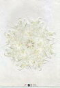 【中古】クリアファイル(男性アイドル) KinKi Kids A4クリアファイルC 「CD 道は手ずから夢の花 通常盤」 先着購入特典