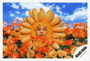 【中古】生写真(ジャニーズ)/アイドル/KinKi Kids KinKi Kids/堂本剛/横型・顔正面・目線右・花の被り物・周りに花オレンジ黄・背景空/「道は手ずから夢の花」PV&ジャケ写撮影/公式生写真
