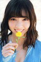 【中古】ポストカード(女性) 西野七瀬(乃木坂46)/花 ポ...
