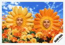 【中古】生写真(ジャニーズ)/アイドル/KinKi Kids KinKi Kids/堂本剛・堂本光一/横型・顔正面・花の被り物・剛口閉じ・光一微笑・手前に花オレンジ黄・背景空/「道は手ずから夢の花」PV&ジャケ写撮影/公式生写真
