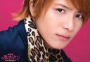 【中古】生写真(男性)/俳優 米原幸佑(茶々彦)/横型・顔アップ・背景ピンク・キャラクターショット/Bセット/舞台「私のホストちゃん REBORN」胸キュン♪超接近ショット