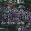 【中古】同人データ集 CDソフト LILA’C RECORDS MAD FX 01 / LiLA’c Records