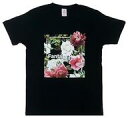 【エントリーでポイント10倍!(1月お買い物マラソン限定)】