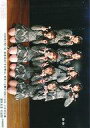 【中古】生写真(AKB48・SKE48)/アイドル/AKB48 AKB48/集合(8人)/横型・2022年1月17日 湯浅順司「その雫は、未来へと繋がる虹になる。」18：30公演 濱咲友菜 生誕祭/AKB48劇場公演記念集合生写真