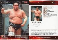 【中古】BBM/レギュラーカード/大相撲/BBM2022 インフィニティ 36[レギュラーカード]：<strong>照ノ富士</strong>春雄