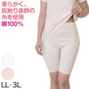 Demian デミアン 5分長ズロース (LL・3L) (レディース 3l 綿 綿100% ズボン下 下着 肌着 ショーツ) (婦人肌着)【取寄せ】