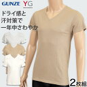 グンゼ YG メンズ VネックTシャツ Tシャツ 2枚組 M～LL (GUNZE 男性 紳士 下着 肌着 半袖 tシャツ V首 インナー 吸汗速乾 抗菌防臭 M L LL)