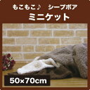 【送料500円】マイクロファイバーのふんわりモコモコ毛布シープボアミニケット（50×70cm）【SBZcou1208】