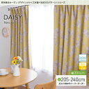 ★窓を飾るカーテン(デザインとサイズが選べる8000パターン)ナチュラル DAISY(デイジー)幅200cm×丈205〜240cm(1枚 ※...