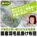 【あす楽対応】【国産羽毛肌掛け布団】ダウンケットシ