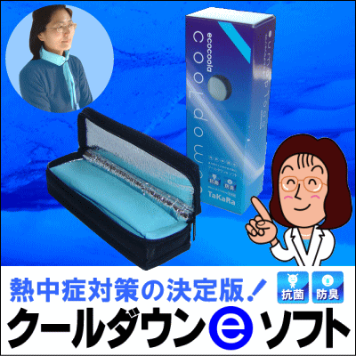 熱中症対策の決定版「タカラ・クールダウンeソフト」！首に巻くアイスジェル 冷却幅6cm　長さ100cm夏の屋外での熱中症対策に！首や頭に巻いて使用！【choice1000】【SBZcou1208】