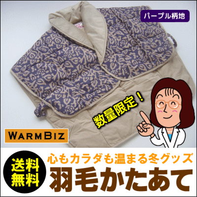 【送料無料】【あす楽対応】 あったかマイクロファイバー使用羽毛かたあて（肩当て）[▼送無]【smtb...:suyasuya:10001533