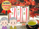 掛川茶 敬老の日 静岡茶 煎茶 2019年 ひるブラ「お茶は...